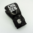 Chosen Shield Skintex Boxing Gloves-black